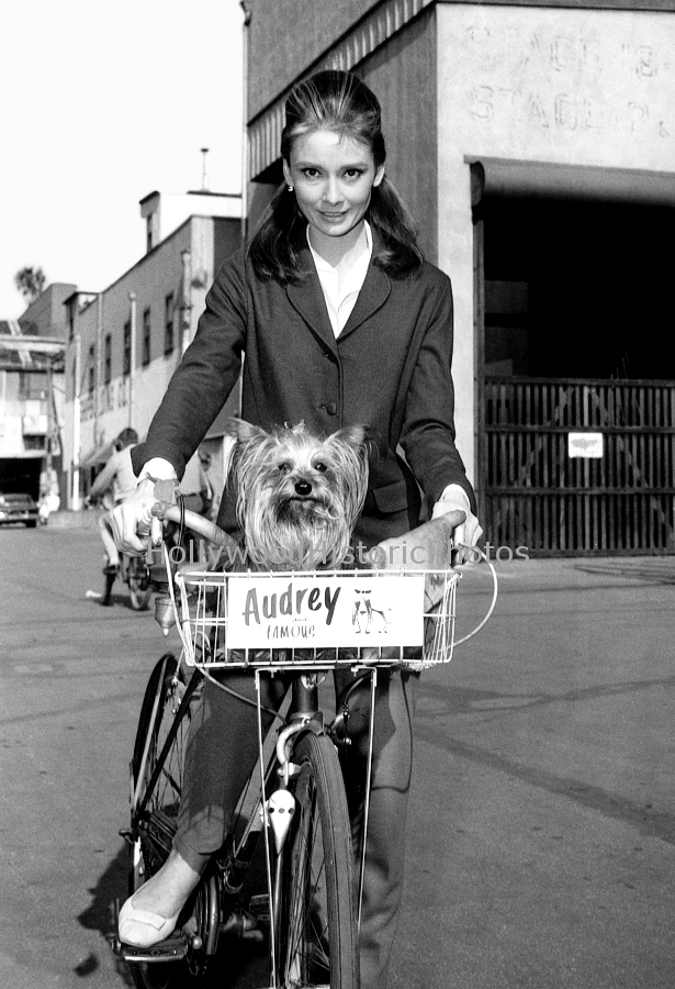 Audrey Hepburn 1961 with her Yorkshire terrier Famous.jpg